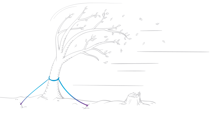 What localization can bring for your .NET software